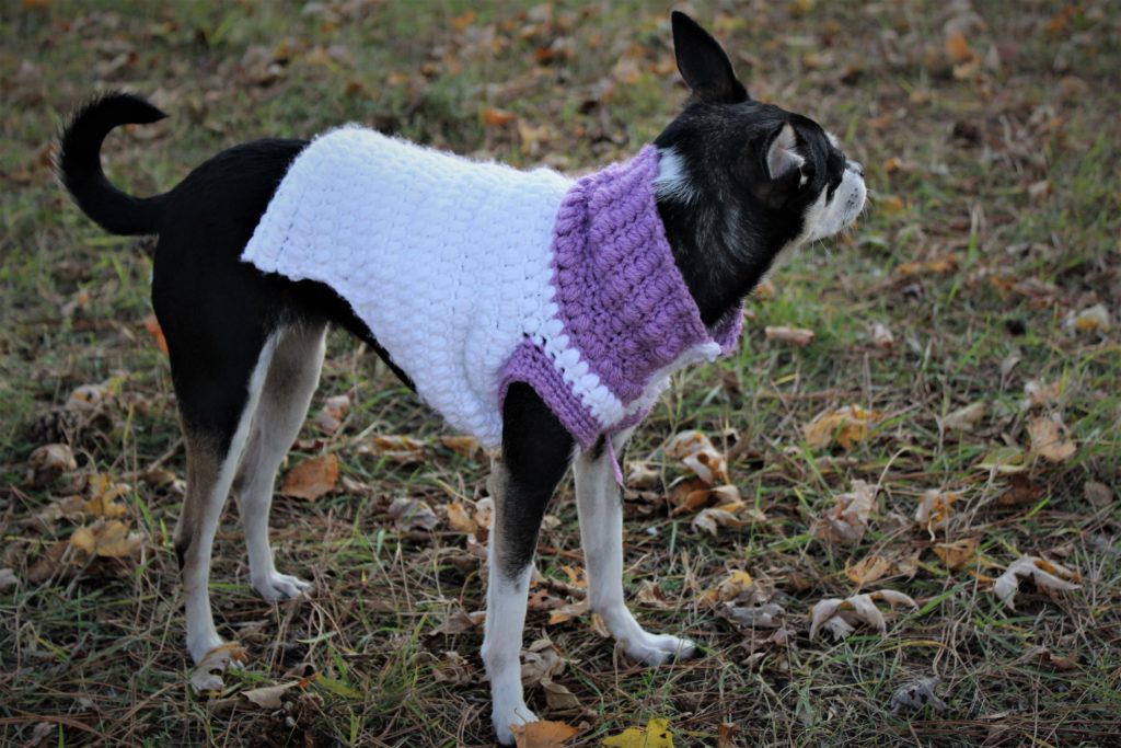 crochet dog poncho